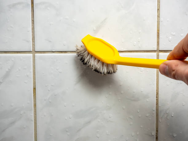Best Residential Mold Remediation in Livonia, LA