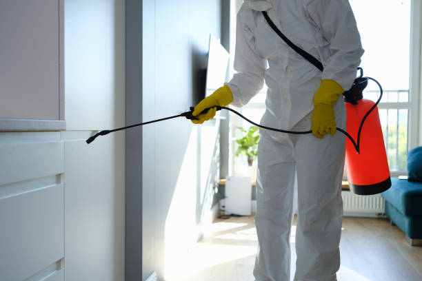 Best Basement Mold Remediation in Livonia, LA